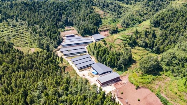 湖州吳興·廣元青川 山海情深，攜手奔康的網絡開發建設之路