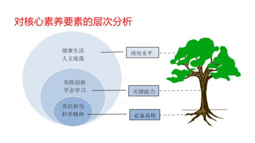 機遇與挑戰 寧夏互聯網+教育示范區建設與運營管理探析